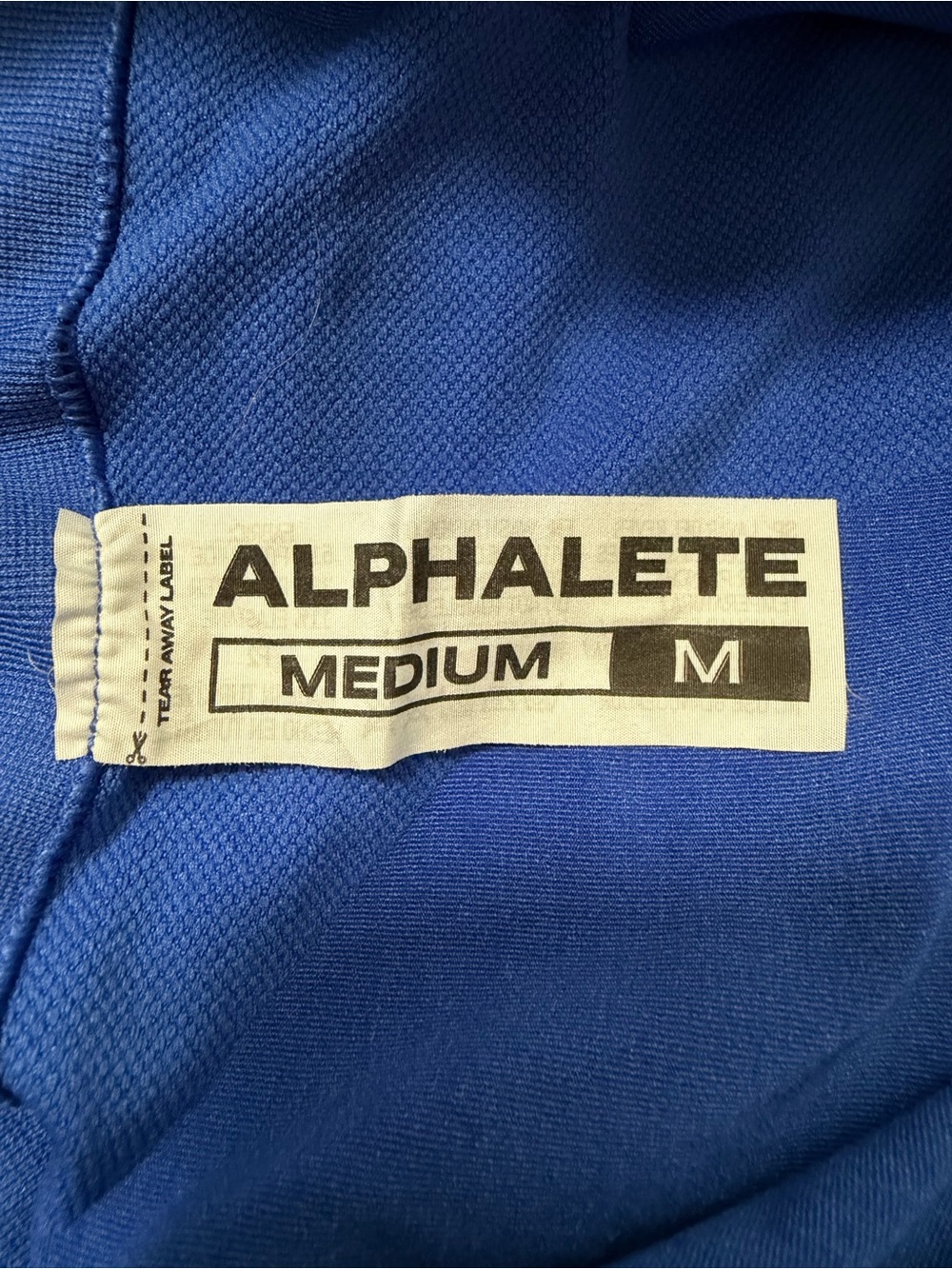Alphalete Amplify Gravity 4.5” Seamless Scrunch Shorts Sapphire - Picture 4 of 4